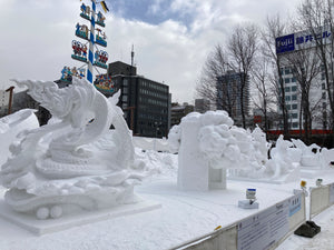 【さっぽろ雪まつりプレミアム体験】大通公園を一望する絶景コース＆特等席ガイドツアー（ランチ／1組最大4名様まで）