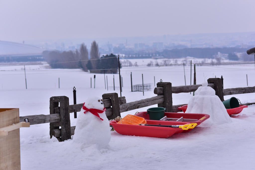 大雪像制作隊プロの直接指導！自分だけの「ミニ雪像づくり体験」イン さっぽろ羊ヶ丘展望台（認定証・道具貸出付）