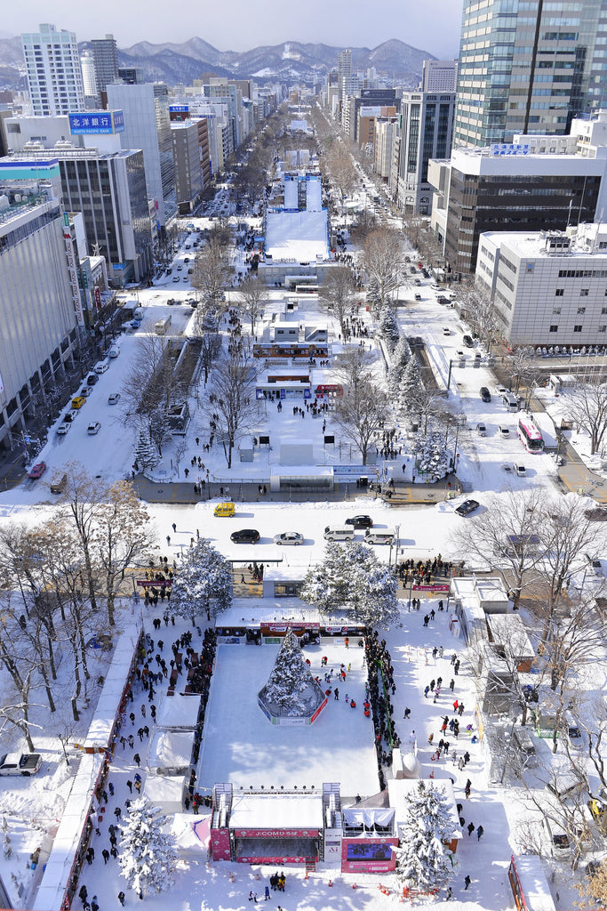 【さっぽろ雪まつりプレミアム体験】大通公園を一望する絶景コース＆特等席ガイドツアー（ランチ／1組最大4名様まで）
