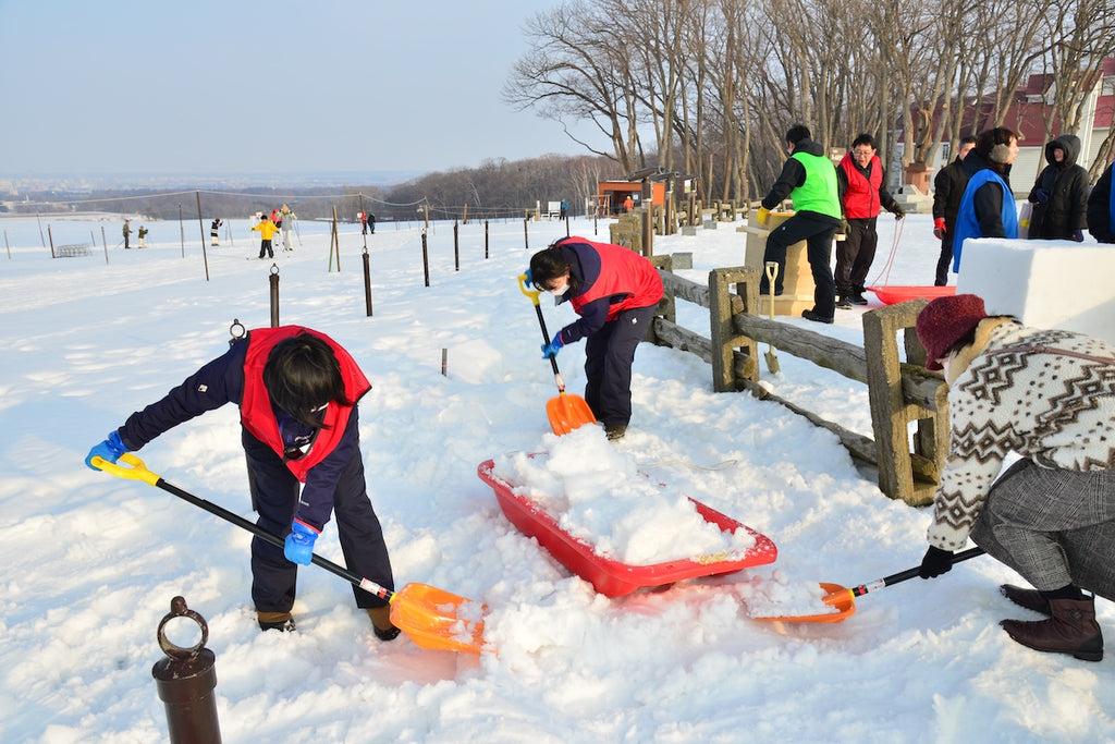 大雪像制作隊プロの直接指導！自分だけの「ミニ雪像づくり体験」イン さっぽろ羊ヶ丘展望台（認定証・道具貸出付）