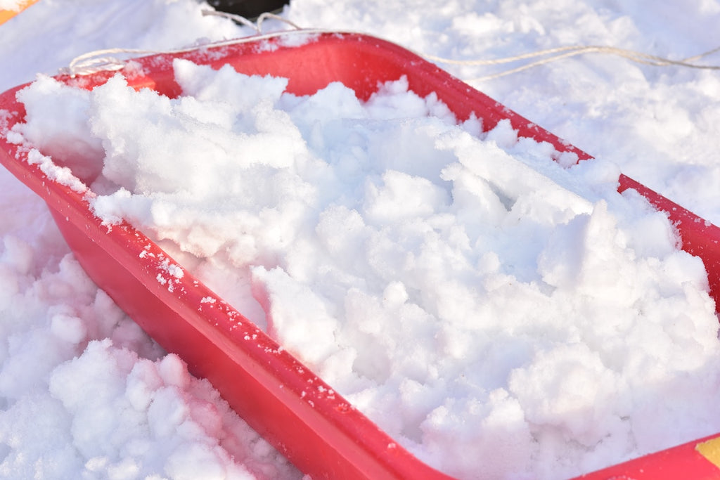 大雪像制作隊プロの直接指導！自分だけの「ミニ雪像づくり体験」イン さっぽろ羊ヶ丘展望台（認定証・道具貸出付）