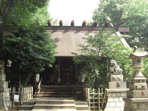 高円寺阿波おどり プレミアム観覧体験｜ワークショップ選択可・特別席観覧・食事付き