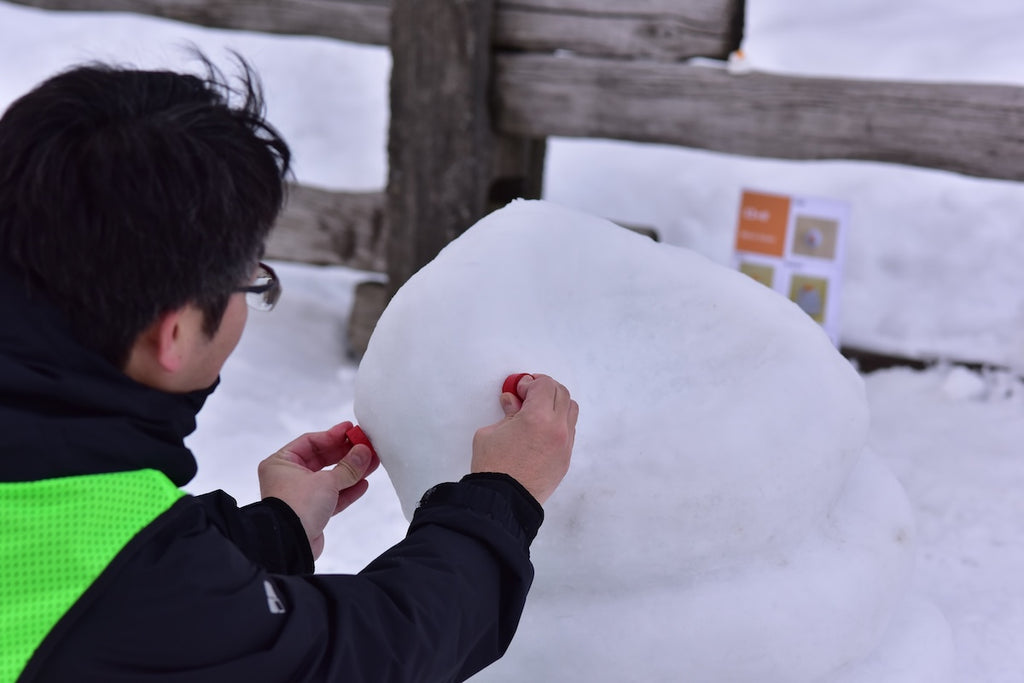 大雪像制作隊プロの直接指導！自分だけの「ミニ雪像づくり体験」イン さっぽろ羊ヶ丘展望台（認定証・道具貸出付）