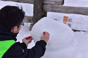 大雪像制作隊プロの直接指導！自分だけの「ミニ雪像づくり体験」イン さっぽろ羊ヶ丘展望台（認定証・道具貸出付）
