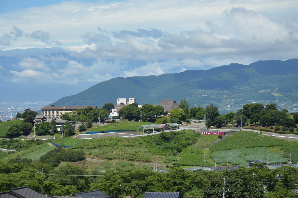 ALL INCLUSIVE×EXCLUSIVE AMAZING YAMANASHI VISITING TOUR～TASTING 「The Drops of GOD」～