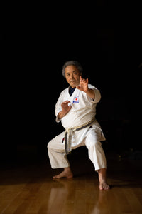 Japan Kyoto | Premium martial arts tourism centered on karate experience