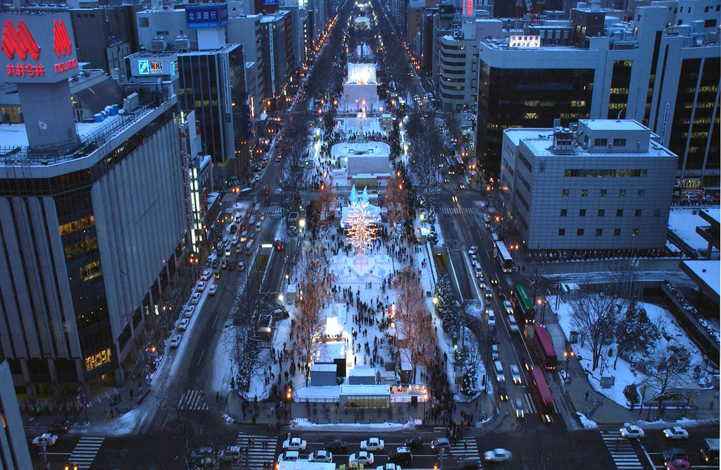 【さっぽろ雪まつりプレミアム体験】雪まつり特別ガイドツアー＆さっぽろテレビ塔絶景ディナーコース