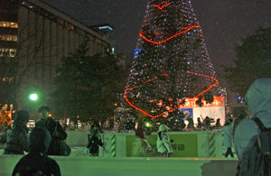 【さっぽろ雪まつりプレミアム体験】雪まつり特別ガイドツアー＆さっぽろテレビ塔絶景ディナーコース