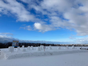 大雪像制作隊プロの直接指導！自分だけの「ミニ雪像づくり体験」イン さっぽろ羊ヶ丘展望台（認定証・道具貸出付）