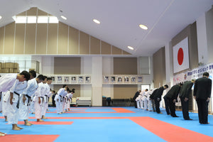 Tokyo All Japan Karate Championships Premium Tour with Expert Multilingual Commentary